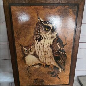 Richard Hinger Screech Owl Lithograph Home Interiors - Mid Century Vintage